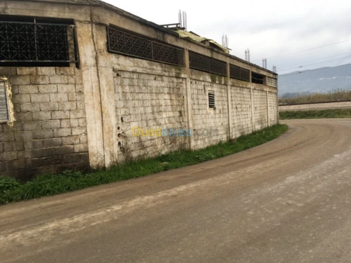 Location Hangar Tizi ouzou Tizi ouzou