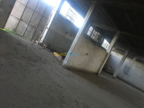 Location Hangar Tizi ouzou Tizi ouzou