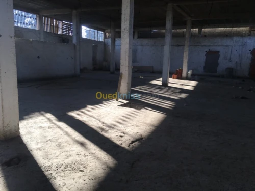 Location Hangar Tizi ouzou Tizi ouzou