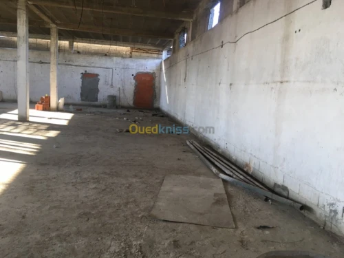 Location Hangar Tizi ouzou Tizi ouzou
