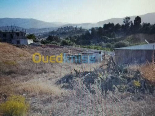 Vente Terrain Boumerdes Larbatache
