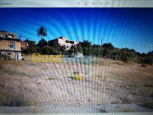 Vente Terrain Boumerdes Larbatache