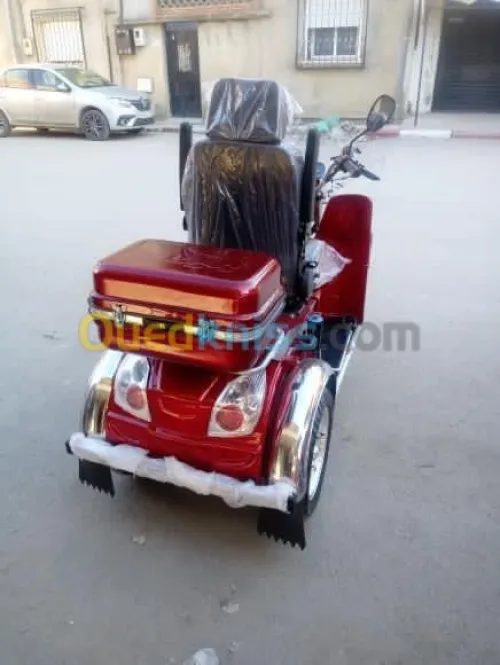 Tricycle à moteur Li 110