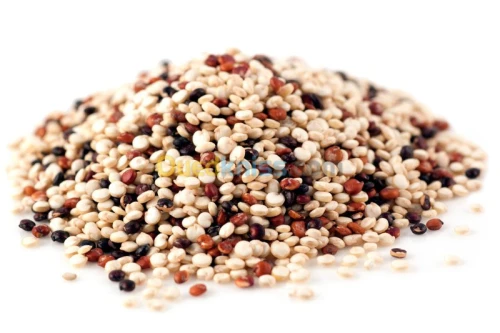 QUINOA : blond et tricolore (grain et farine complète) --- كينوا : بذور و فرينة