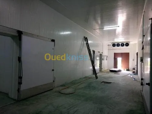 Vente Hangar Ain defla Bir ould khelifa