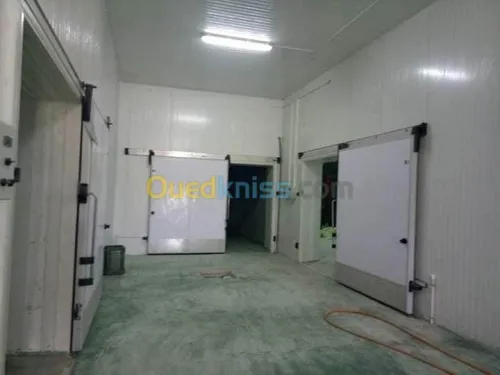 Vente Hangar Ain defla Bir ould khelifa