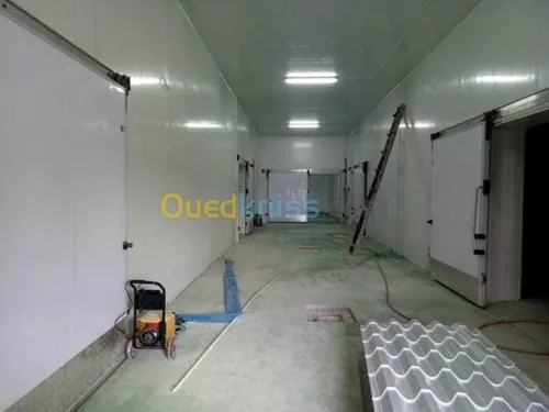 Vente Hangar Ain defla Bir ould khelifa
