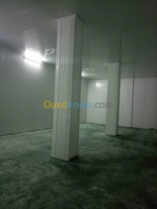 Vente Hangar Ain defla Bir ould khelifa