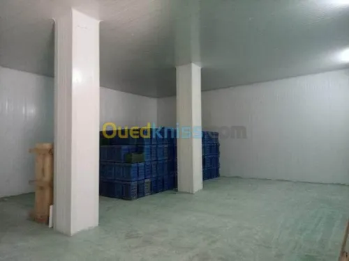 Vente Hangar Ain defla Bir ould khelifa