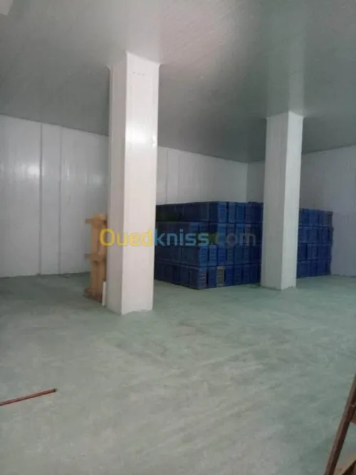 Vente Hangar Ain defla Bir ould khelifa