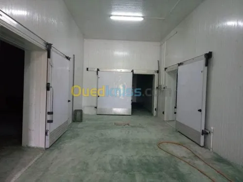 Vente Hangar Ain defla Bir ould khelifa