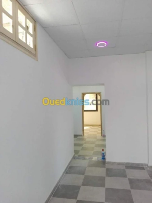 Peintre batiment صباغ المنازل 