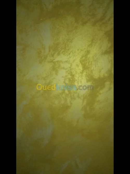 Peintre batiment صباغ المنازل 