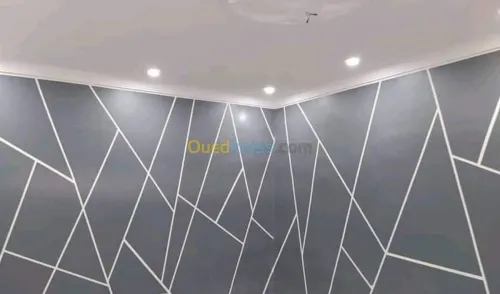 Peintre batiment صباغ المنازل 