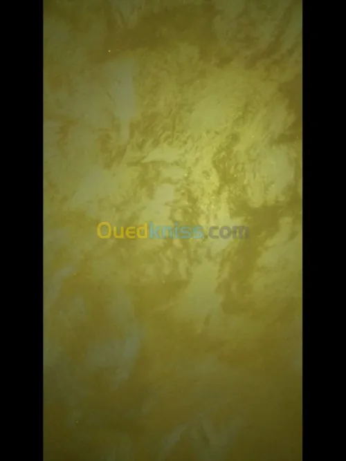 Peintre de batiment صباغ المنازل