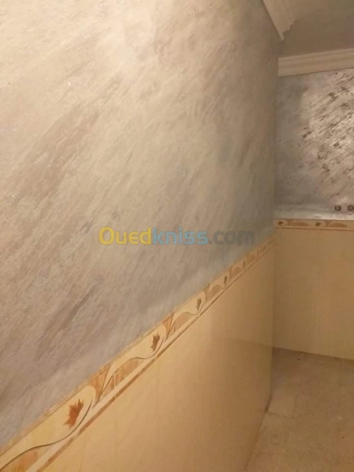 Location Appartement F3 Alger Ain naadja