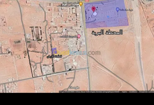 Vente Terrain Djelfa Djelfa