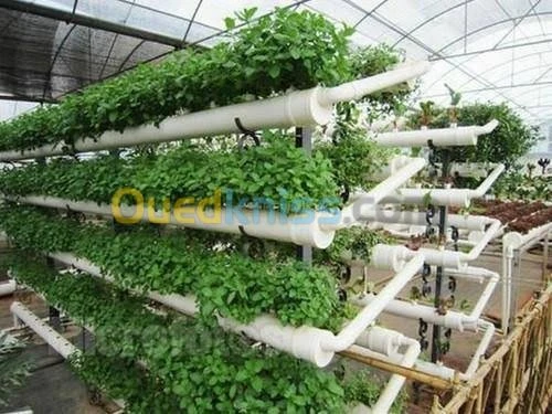 Hydroponie système commercial pro