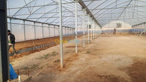 Hydroponie système commercial pro