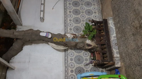 Vente Local Alger Baraki