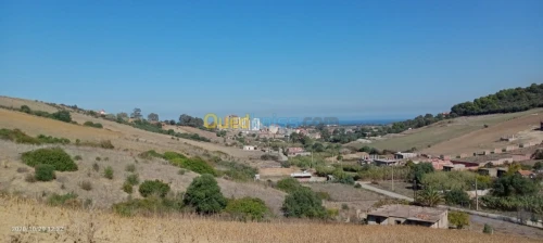 Vente Terrain Boumerdes Zemmouri