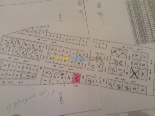 Vente Terrain Tlemcen Tianet