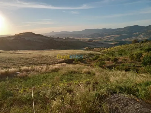 Vente Terrain Agricole Bouira Aomar