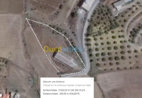 Vente Terrain Agricole Bouira Aomar