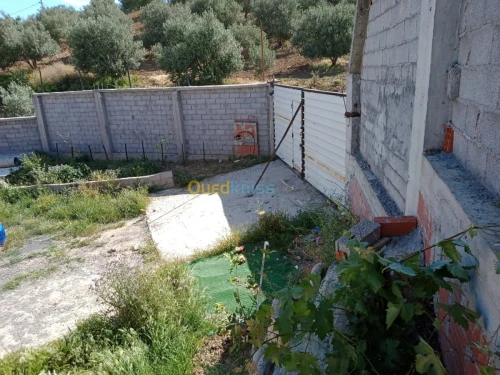Vente Terrain Agricole Bouira Aomar