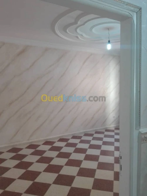 Peinture intérieur et exterieur stico