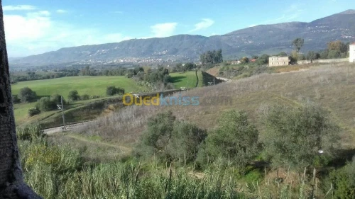 Vente Appartement Tizi ouzou Tizi ouzou