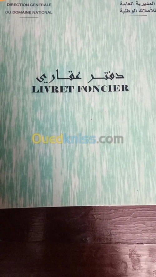 Vente Terrain Blida Blida