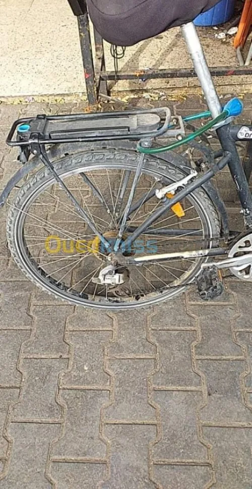 VELO BITWIN