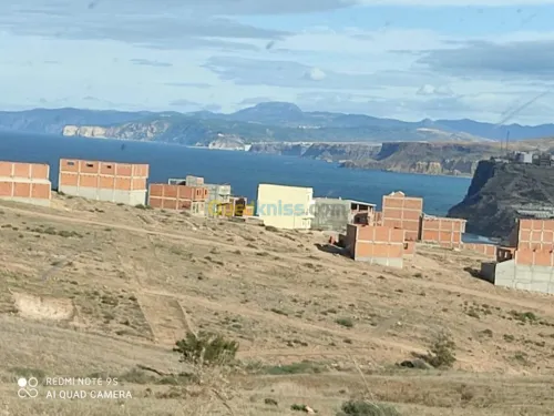 Vente Terrain Tlemcen Souk tlata