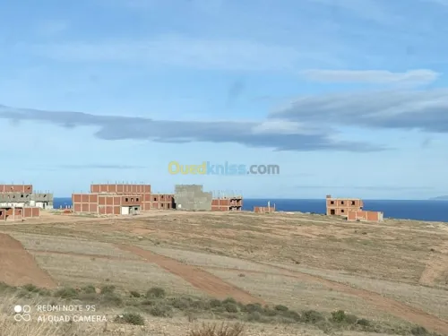 Vente Terrain Tlemcen Souk tlata