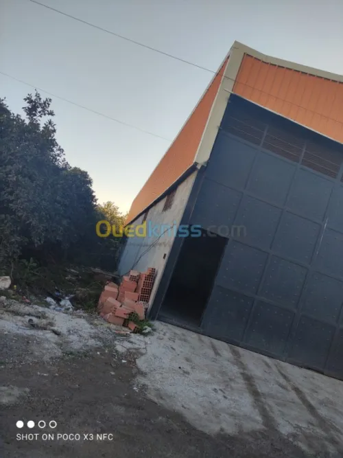 Location Hangar Alger Sidi moussa
