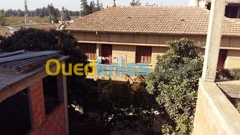 Vente Villa Blida Chebli