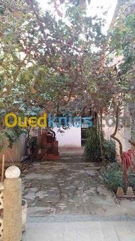 Vente Villa Blida Chebli