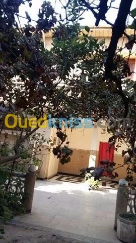 Vente Villa Blida Chebli