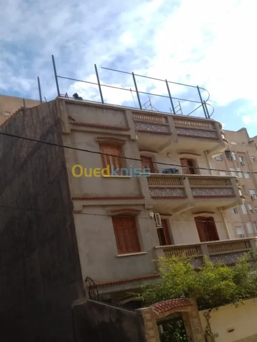Brise vu ( clôture) السور التركي 