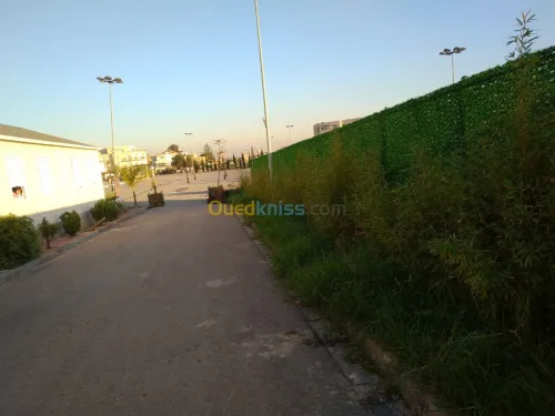 Brise vu ( clôture) السور التركي 