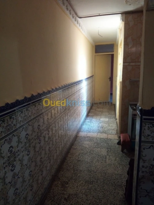 Vente Terrain Oran Sidi chami