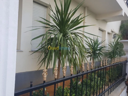 Vente Duplex F200 Alger El achour