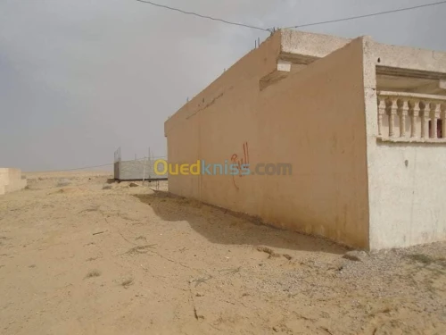 Vente Carcasse Msila Maarif