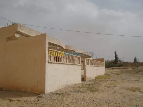 Vente Carcasse Msila Maarif