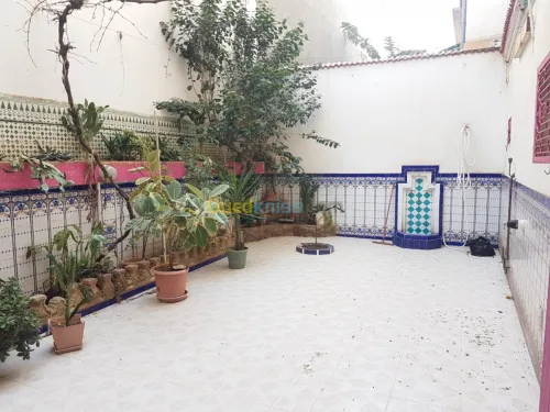 Vente Villa Ain temouchent Ain temouchent