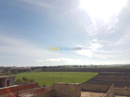 Vente Villa Ain temouchent Ain temouchent