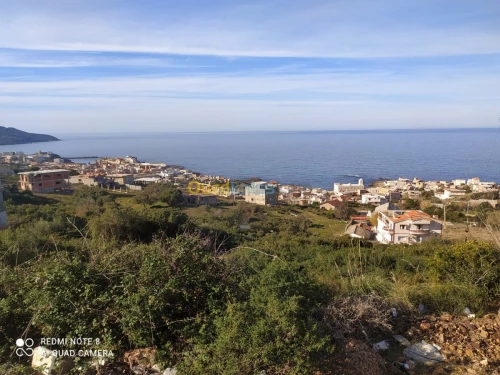 Vente Terrain El taref El kala