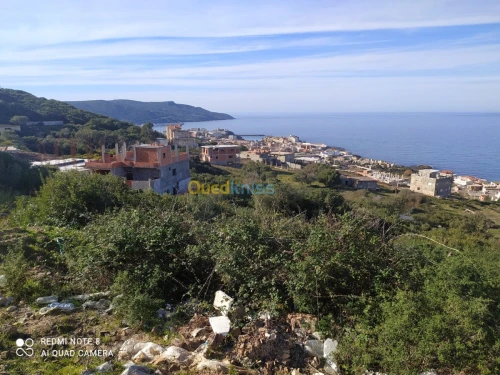 Vente Terrain El taref El kala