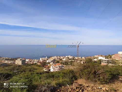 Vente Terrain El taref El kala